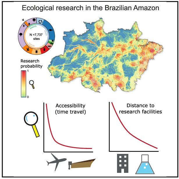 Resumo gráfico do artigo.