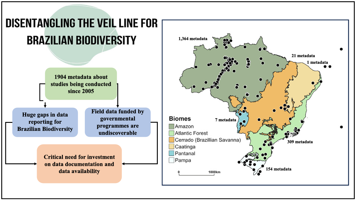 Resumo gráfico do artigo.