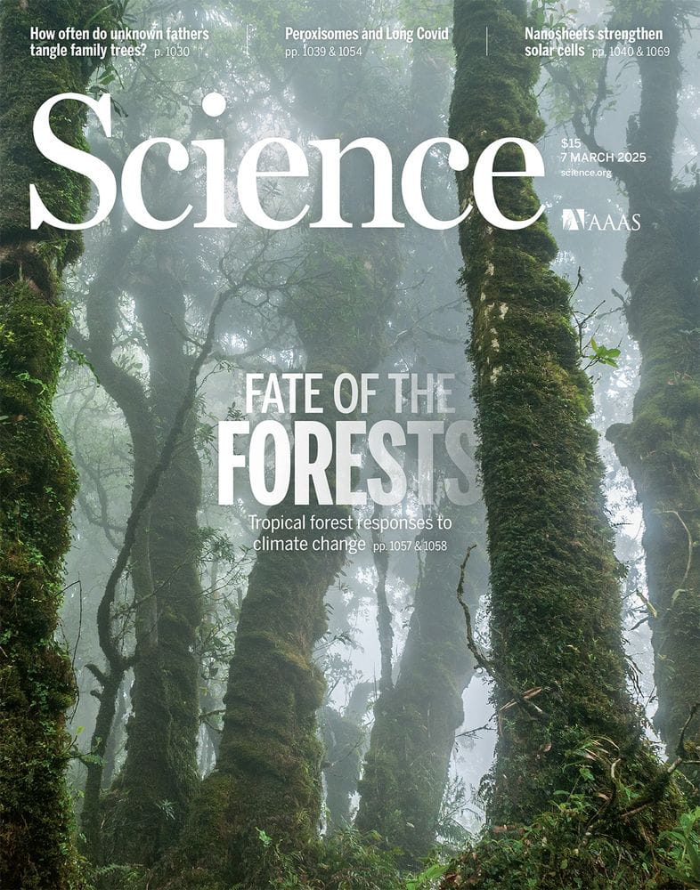 Capa da edição da Science fazendo referência a este artigo.